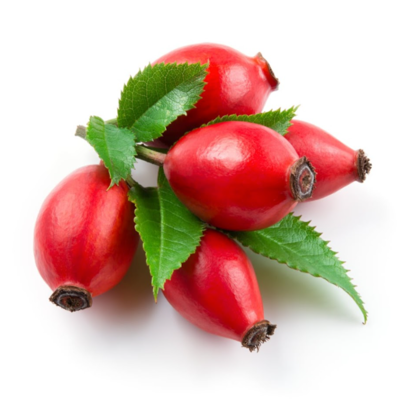 ADVANCED ROSEHIP REPLENISHING CLEANSE